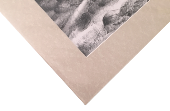 IMG-1199-removebg-preview (1)